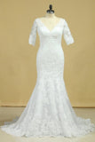 2024 Mermaid Wedding Dresses V-Neck 3/4 Sleeves Court Train Tulle V-Back With Covered PG4GMBTB