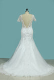 2024 New Arrival Mermaid/Trumpet Wedding Dresses V-Neck Tulle With Applique PP14HCP1