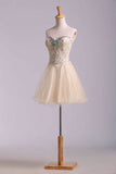 2024 Lovely Homecoming Dresses A Line Sweetheart Short Mini Color PCLYZJM9