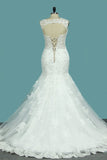 2024 Mermaid/Trumpet V Neck Wedding Dresses Court Train Tulle With Applique Lace PQ8CNMYN
