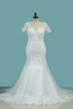 2024 New Arrival Mermaid/Trumpet Wedding Dresses V-Neck Tulle With Applique PP14HCP1