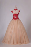 2024 Quinceanera Dresses High Neck Ball Gown Tulle With Applique PHC5EXPZ